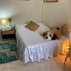 Y Estudios Manga Real , Cartagena Kolombiya